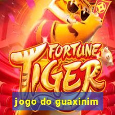 jogo do guaxinim